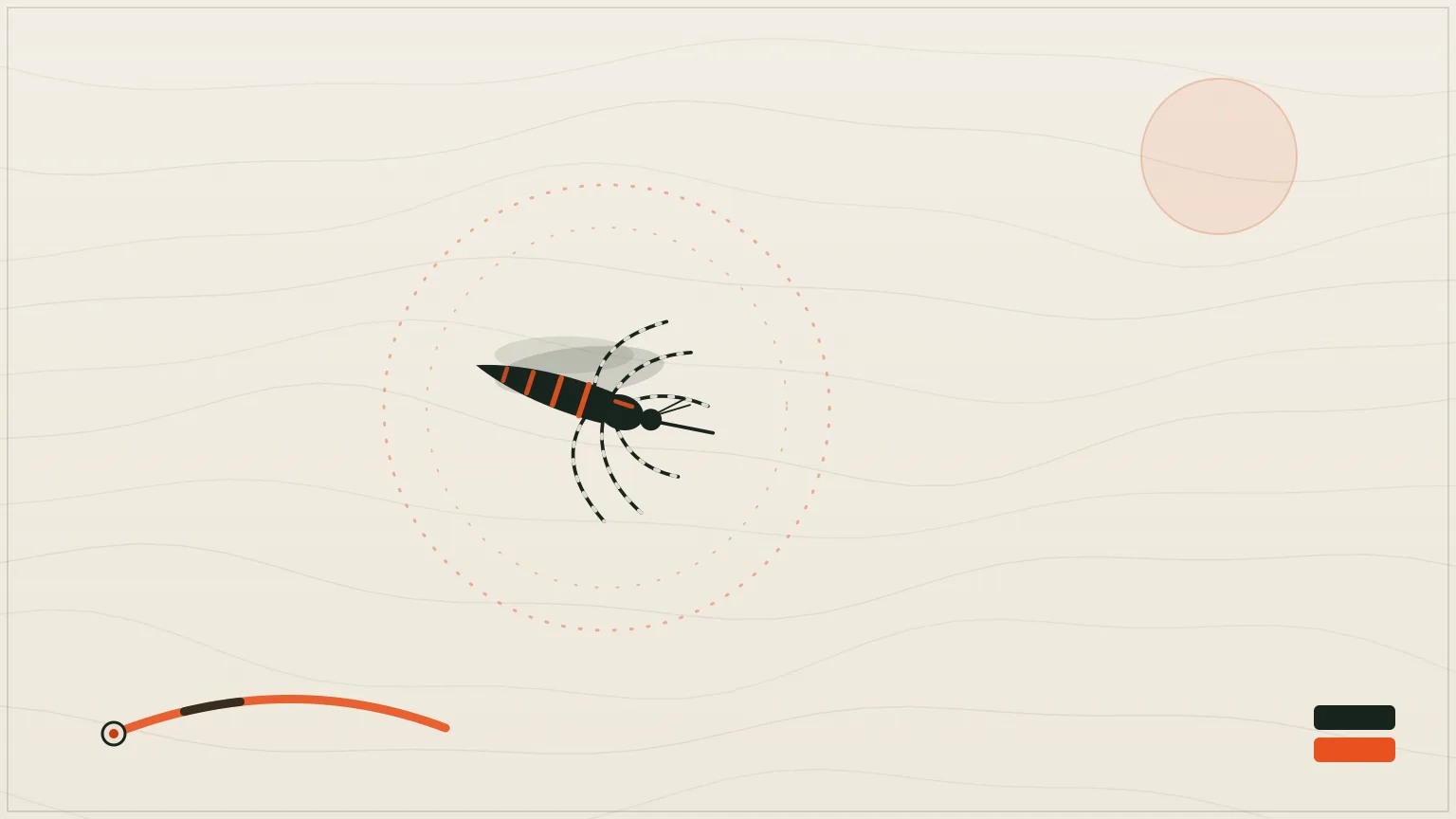 Chikungunya en France : c'est quoi, quels symptômes, et comment s'en protéger cet été